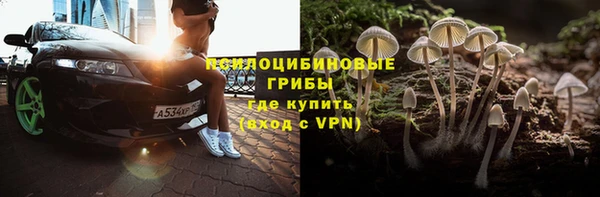 тгк Абаза