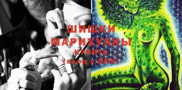 ECSTASY Дегтярск