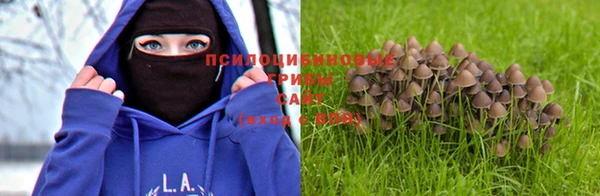 тгк Абаза