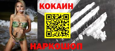 тгк Гай