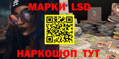 spice Гатчина