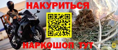 тгк Гай
