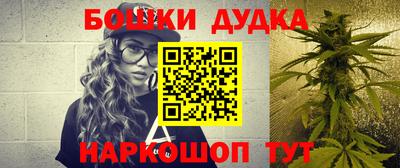 spice Гатчина