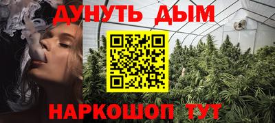 тгк Гай