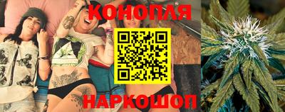 тгк Гай