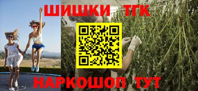 spice Гатчина