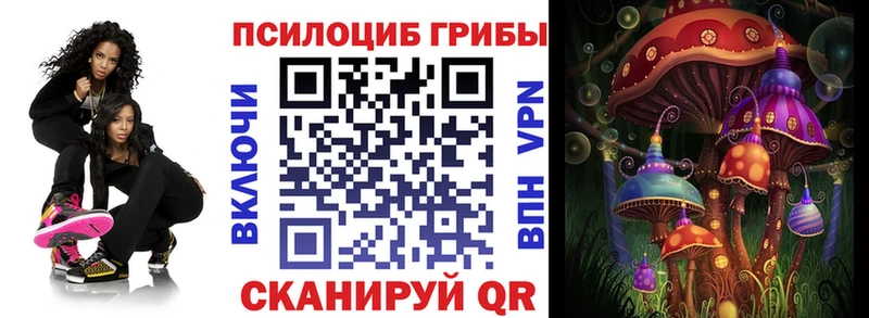 MEGA ссылка  Магадан  Галлюциногенные грибы мицелий  что такое  