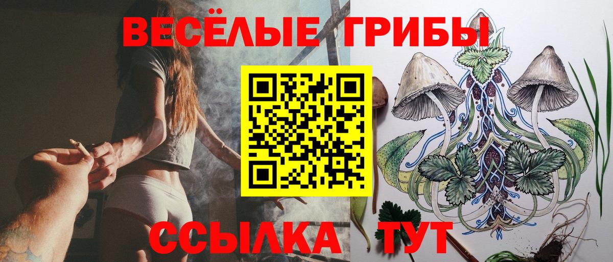 закладки  Псилоцибиновые грибы MAGIC MUSHROOMS  Вход с VPN  Магадан 